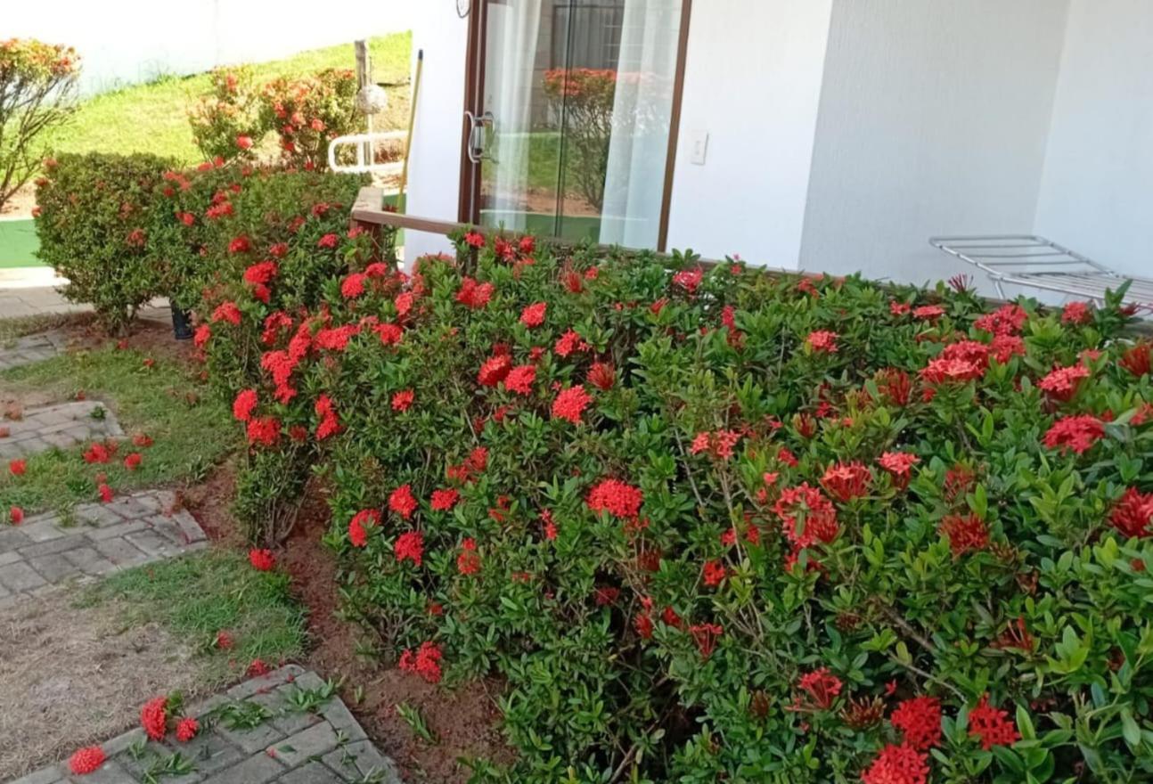 Flat Em Pipa - Brisas Do Amor Praia de Pipa Zimmer foto
